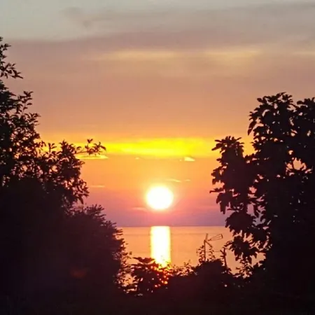 شقة Apartment-studio-ginkgo-a1