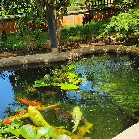 Apartment-studio-ginkgo-a1