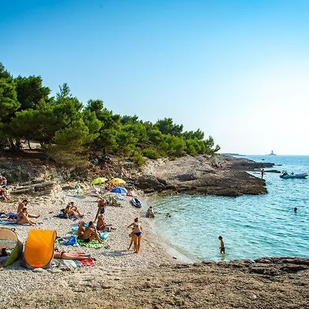 Apartment-studio-ginkgo-a1 شقة