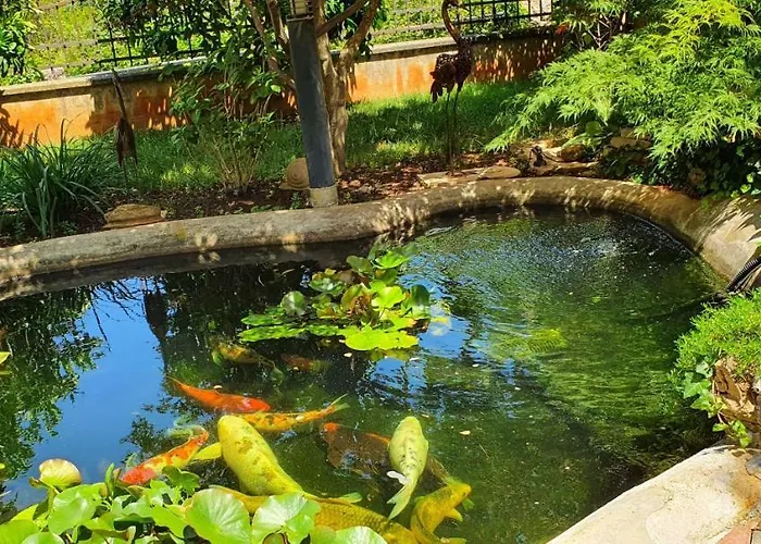 Apartment-studio-ginkgo-a1