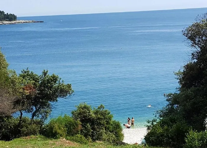 Apartment-studio-ginkgo-a1 *