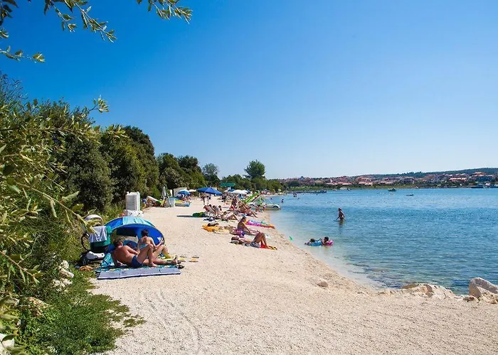 Apartment-studio-ginkgo-a1 반졸레