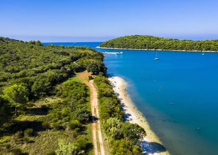 Apartment-studio-ginkgo-a1 아파트 반졸레