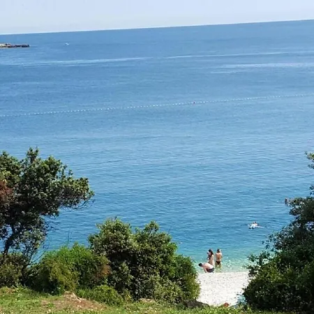 Apartment-studio-ginkgo-a1 *