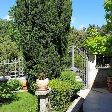 Apartment-studio-ginkgo-a1 Appartamento *