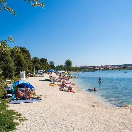 Apartment-studio-ginkgo-a1 Banjole