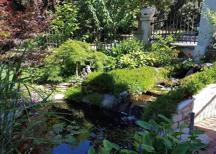 Apartment-studio-ginkgo-a1 Lejlighed