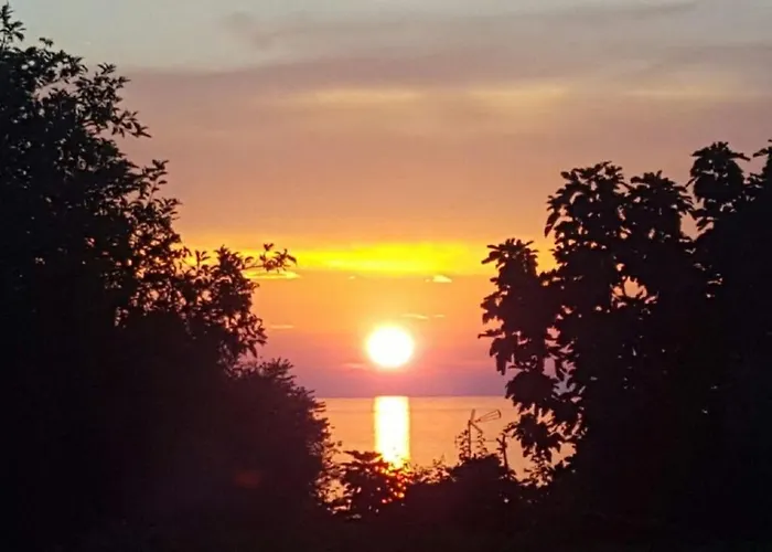 Lejlighed Apartment-studio-ginkgo-a1